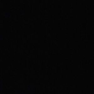 Meet your Posher, Dylan